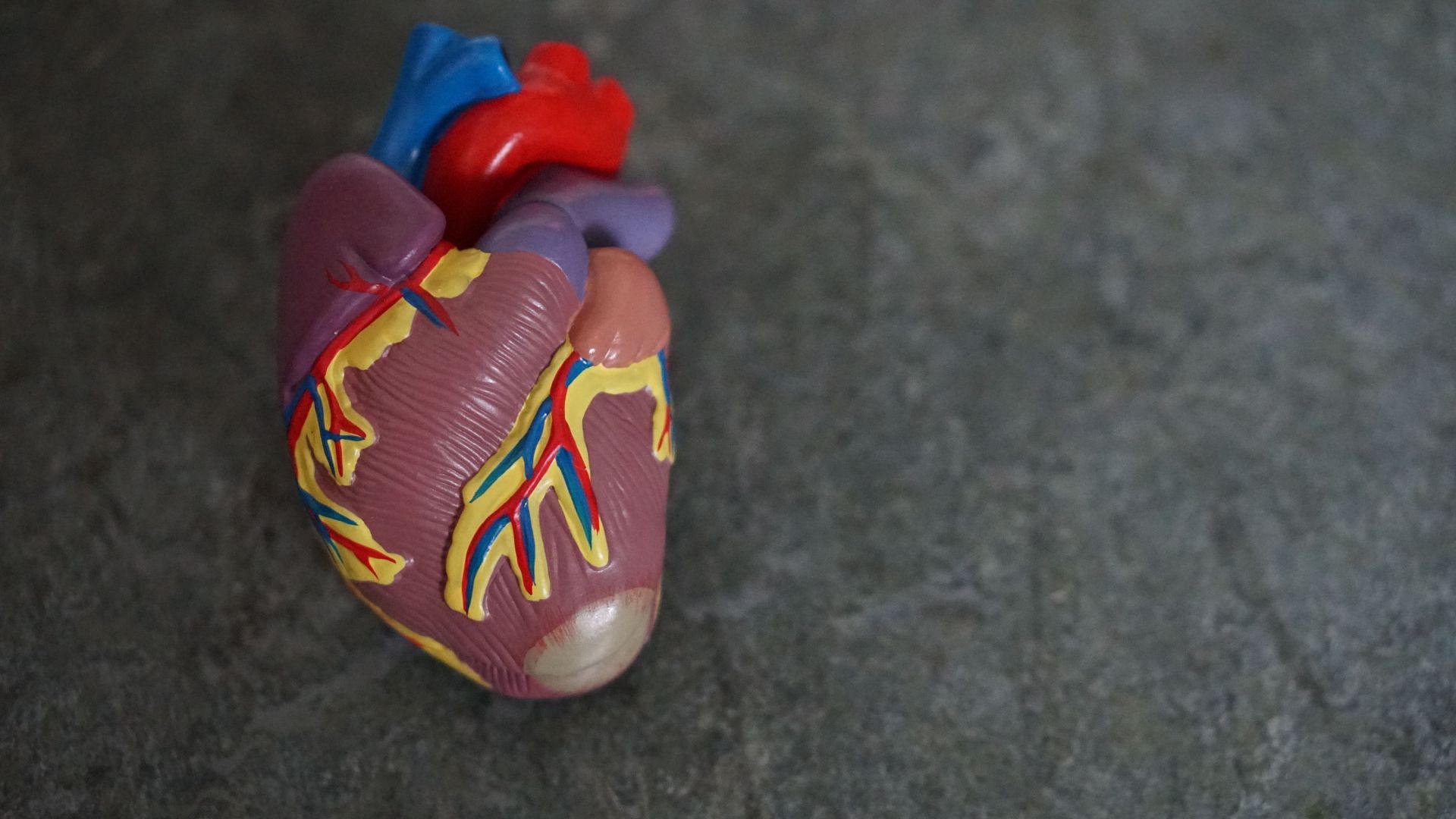 Helps improving your cardiovascular health. (Image via Unsplash / Robina Weermeijer)